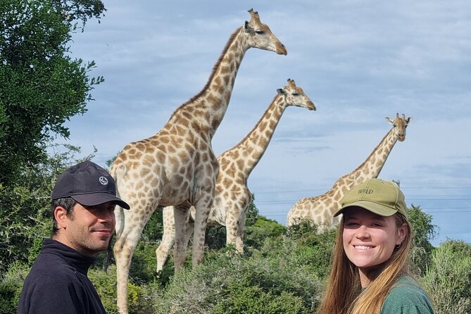 Addo Elephant Park & Giraffe Walk Private Full-Day Safari - Private Tour Experience