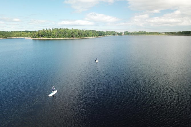 Adult Stand-Up Paddle Board Rental - Activity Overview