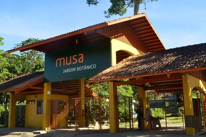 Adventure Awaits at Amazonas Theater Market - Market Overview