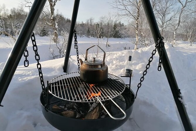 Adventure Experience With Northern Lights Safari - What Are the Northern Lights?