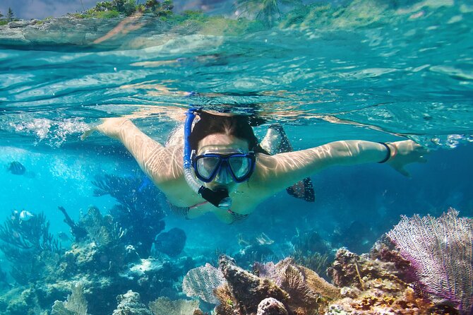 Adventure Sports Tour: Explore Galapagos Islands Thrills - Tour Highlights