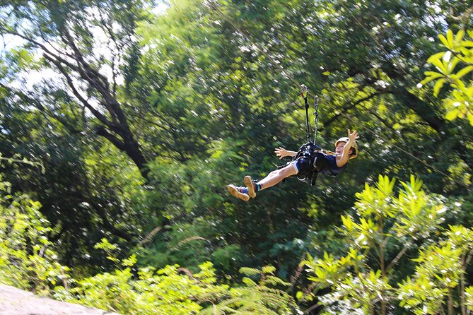 Aerial Cable Trail in Hazyview - Pricing and Booking