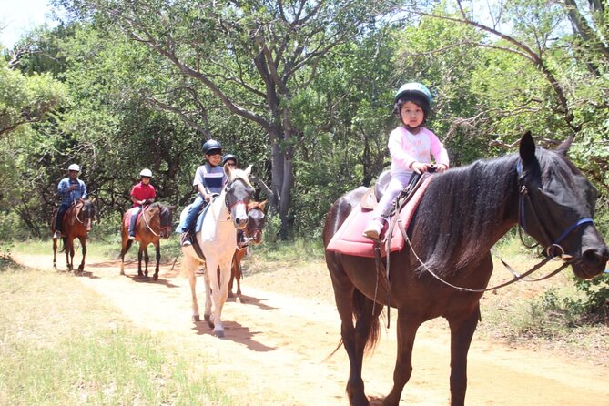 Aerial Cableway & Horse Trail Safari - Aerial Cableway Ride