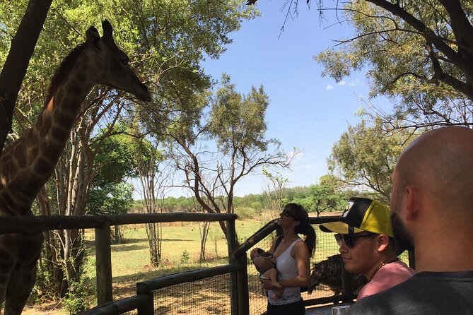 African Predators Safari, Unforgettable and Majestic. - Key Highlights