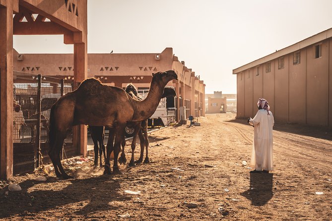 Al Ain Private Walking Tour With Guide - Inclusions