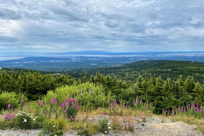 Alaska Botanical Garden & City View Tour - Tour Highlights & Inclusions