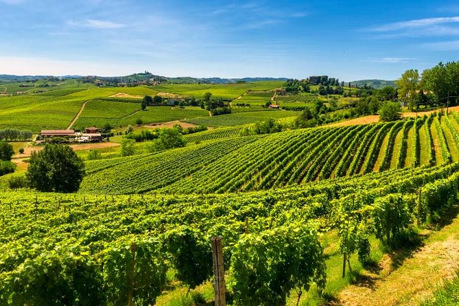 Alba Wine Tours, Private Tasting Experience Around Langhe Area. - Wine Selection and Customization