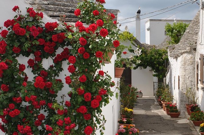 Alberobello Half- Day Tour With Extravergine Olive Oil and Liquores Tasting. - Tour Overview