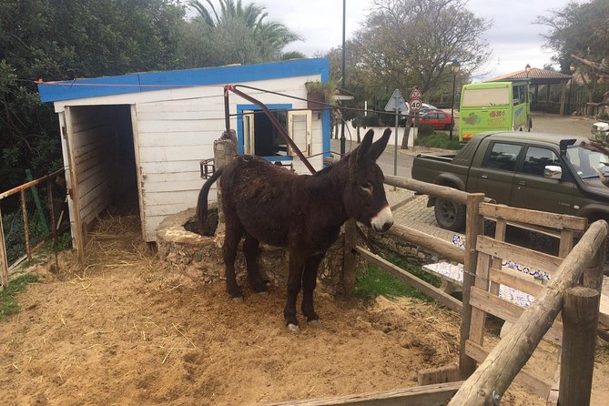 Algarve Jeep Safari - Half Day Trip Morning - Traveler Photos