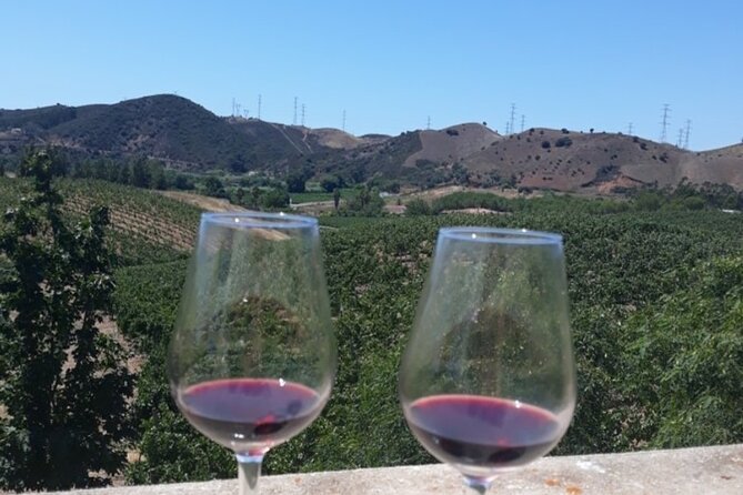 Algarve Wine Tour and Farmers Lunch at Wine Estate - Booking and Availability Details