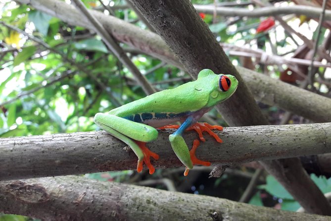 All-Day Guided Tour of Nicaragua Volcanoes  - Granada - Tour Highlights