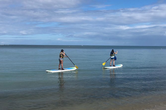 All Day PaddleBoard Rental - Rental Rates and Durations