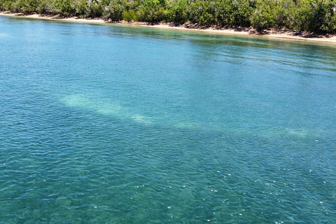 All Day Snorkeling Gear Rental in Puerto Rico - Overview and Location