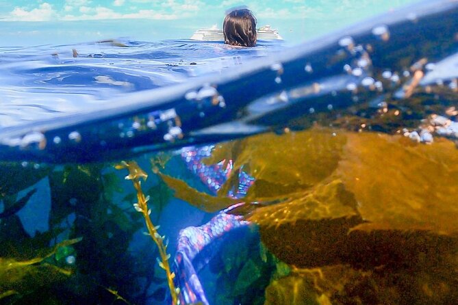 All Inclusive Day Trip to Catalina Island for a Mermaid Filmshoot - Meeting and Pickup Details