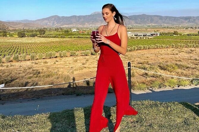 All-Inclusive Private Wine Tour in Baja - Tour Highlights