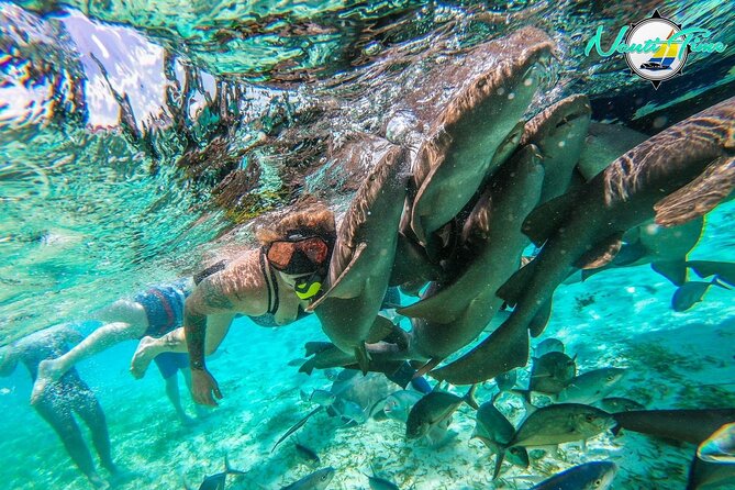 All Inclusive Snorkeling at Hol Chan - Overview of Hol Chan Marine Reserve