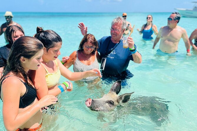 All Inclusive Swimming Pigs, Turtles & Snorkeling Experience - Meeting and Pickup
