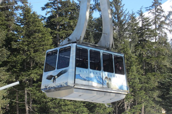 Alyeska Tram - A Self-Guided Tour - Tour Details