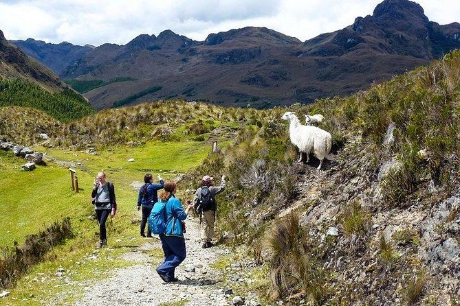 Amazing Cajas National Park Tour From Cuenca - Tour Features and Inclusions