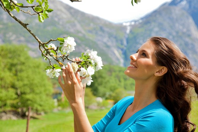 AMAZING HARDANGER: Private Round Trip With Fjord Cruise – From Bergen, 11 Hours - Overview and Highlights