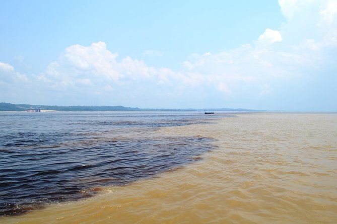 Amazon Negro River Half-Day Expedition Tour - Good To Know