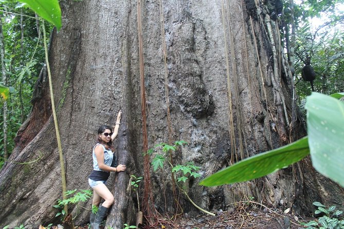 Amazon River Expeditions With Guide for 5 Days 4 Night - Itinerary Overview