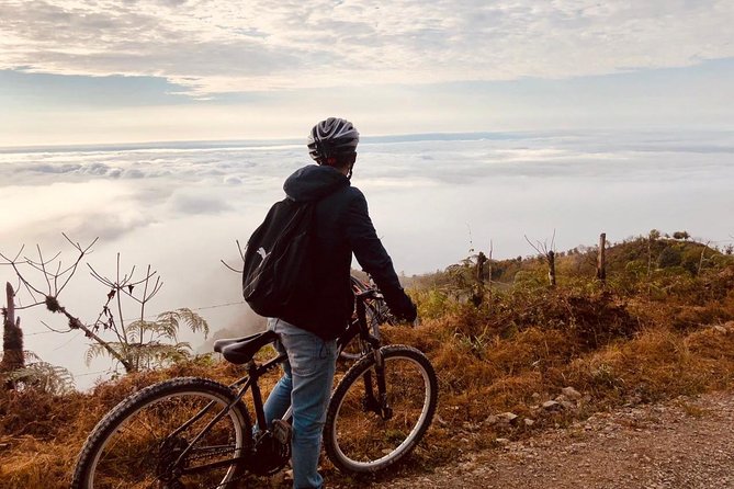 Andes Adventure: Private Bike Tour From Cajas - Tour Highlights