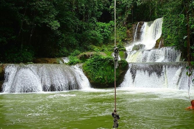 Appleton Estate, Ys Falls and Black River Safari Private Tour - Pricing and Guarantee