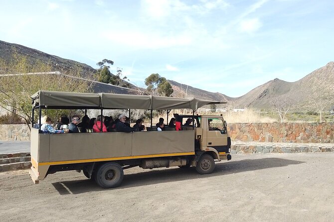 Aquila Sunset Safari Tour From Cape Town - Tour Details