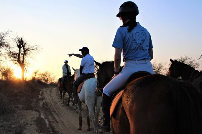 Aravali Trail Experience( Jungle Safari Forest Area)- Horseback Riding - Experience Details