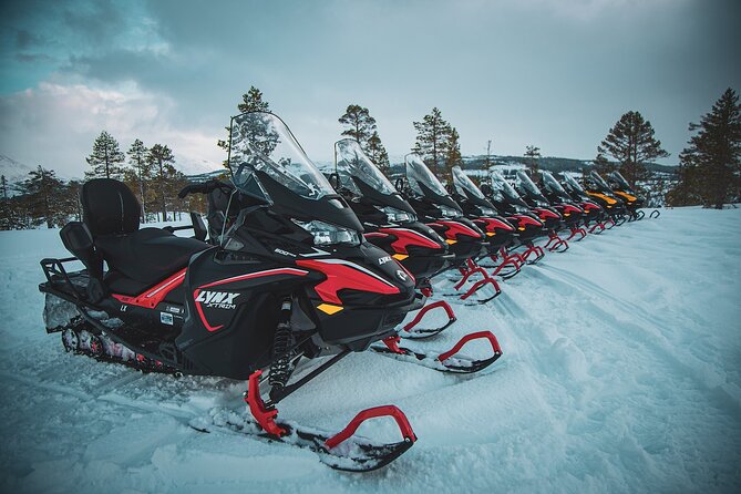 Arctic Adventure: Northern Lights Hunting With Snowmobiles - Overview and Logistics