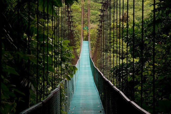 Arenal Volcano, Hanging Bridge, Waterfall Tour From La Fortuna - Pricing and Booking Details