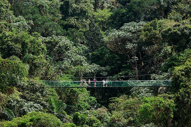 Arenal Volcano Tour - Arenal Volcano Overview