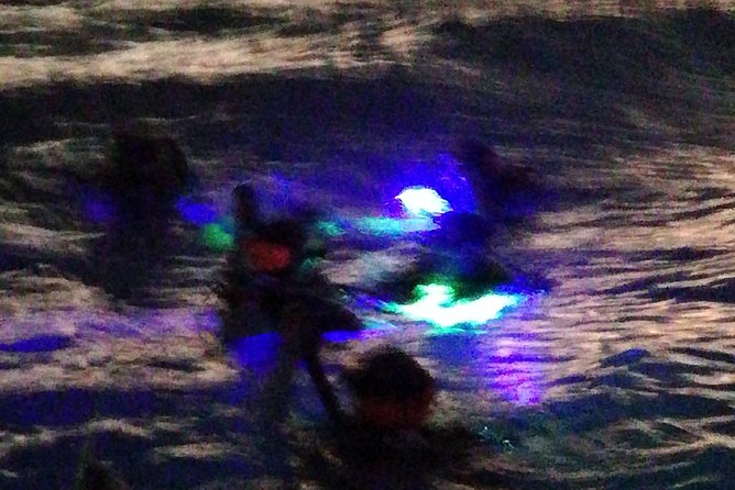 Aruba 1-Tank Guided UV Night Dive for Certified Divers With Own Equipment - Activity Description