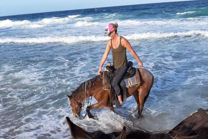 Aruba 2,5 Hrs Horseback Riding for Advanced Riders - Pickup Information