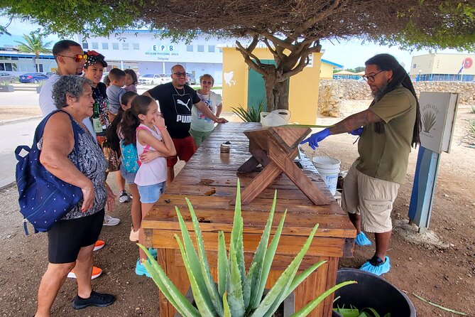 Aruba Half Day Private Tour - Tour Highlights