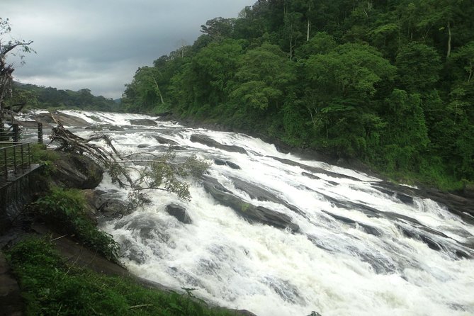 Athirappally & Vazhachal Waterfall Tour With Lunch - Tour Overview