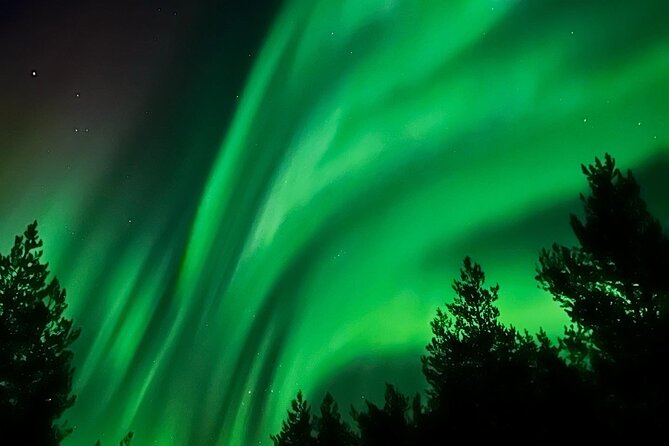 Aurora Hunt With BBQ in Rovaniemi - Tour Highlights