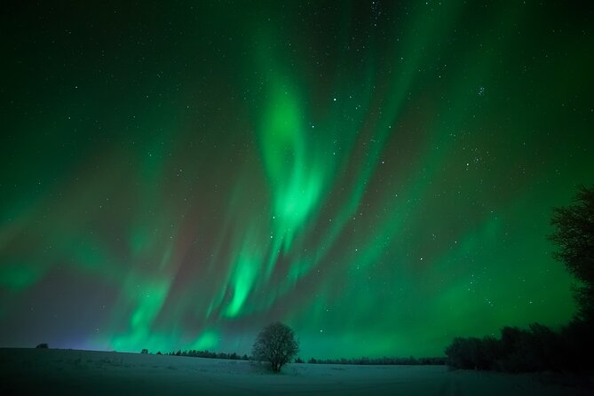 Aurora Hunting & Photography Tour - Tour Information and Policies