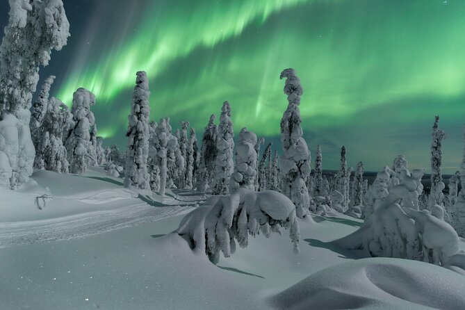 Aurora Hunting With Car, Snowshoes or Backcountry Skis - Activity Details