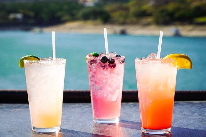 Austin Lake Travis Barge Crawl Bar Hopping Tour by Boat - Tour Inclusions