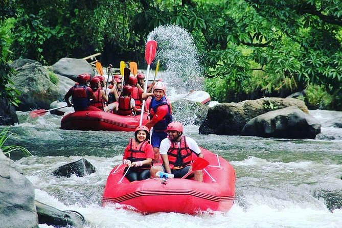 Bali Rafting Including Lunch and Transport - Pricing and Booking Details