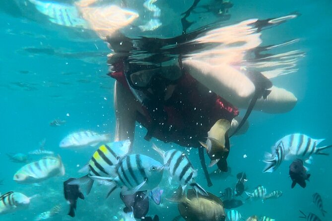 Bali Snorkeling at Blue Lagoon With Waterfall Include Lunch - Trip Overview