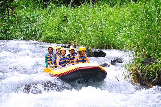 Bali White Water Rafting With Transfer & Lunch (Less Stairs) - Pricing and Guarantee