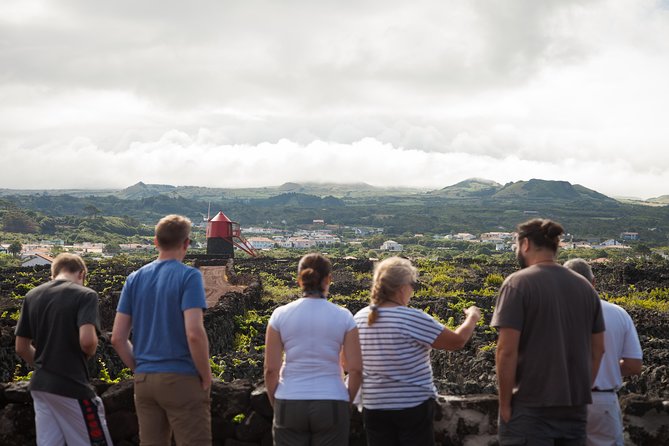 Banana Trip - Full Day Private Tour to Pico With Round Trip From Faial - Tour Highlights