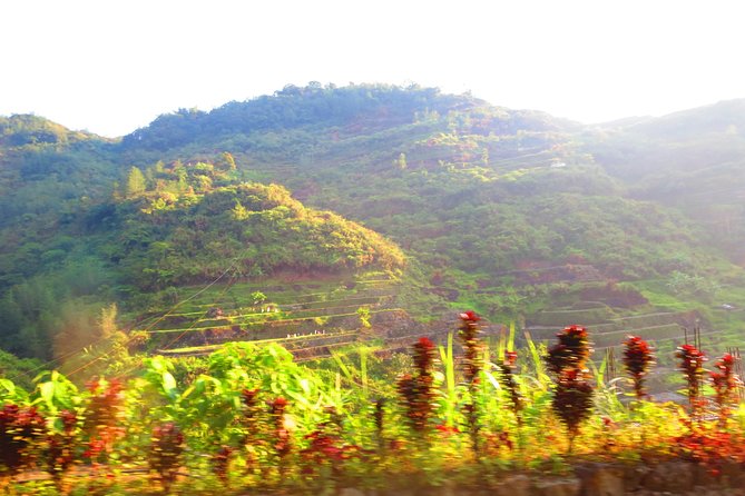 Banaue Rice Terraces Adventure (3 Days 2 Nights) From Manila*** - Overview of Banaue Rice Terraces Adventure