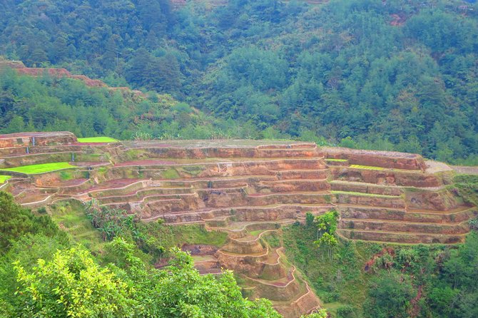 Banaue Rice Terraces Escape: 3 Days, 2 Nights With Transfers - Good To Know