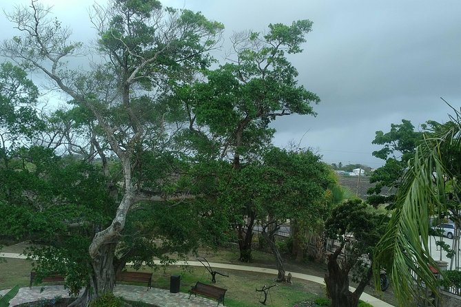 Barbados Through the Eyes of a Local - Hidden Gems and Off-the-Beaten-Path Locations