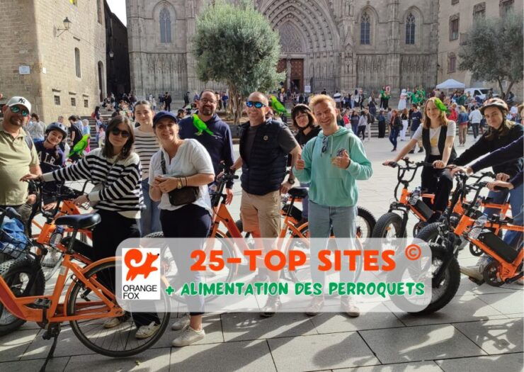 Barcelona Tour With French Guide 25-тOp Sites, Bike/Ebike - Tour Details