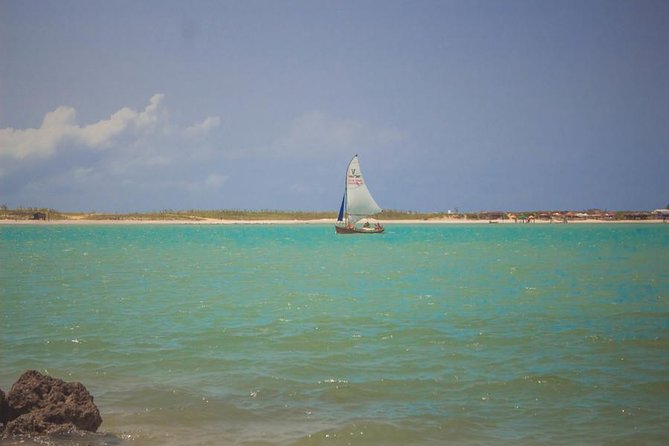 Barra De Cunhaú Tour - Departing From Natal - Tour Highlights